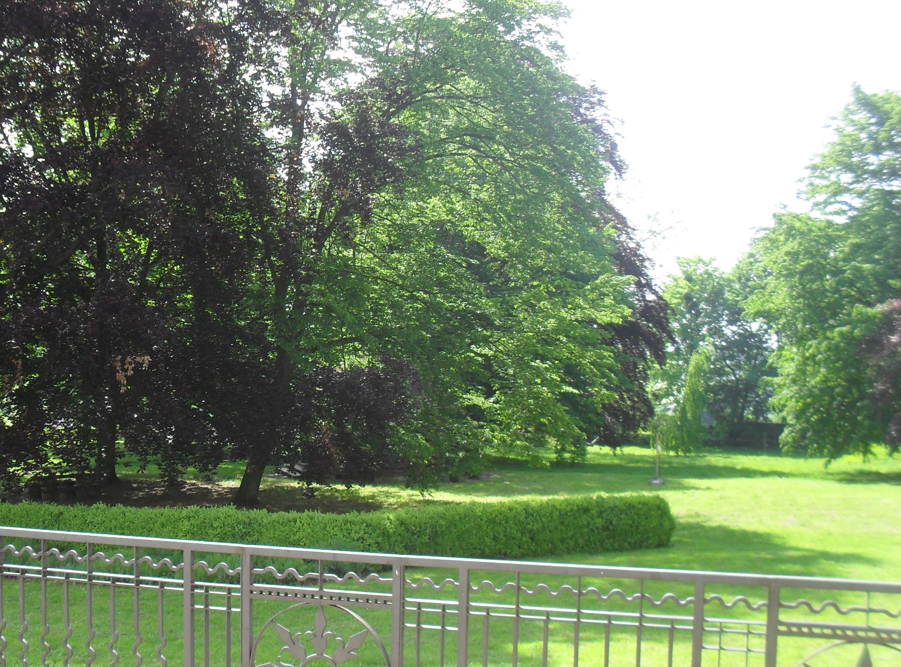 Zámecký park/1Zahr1